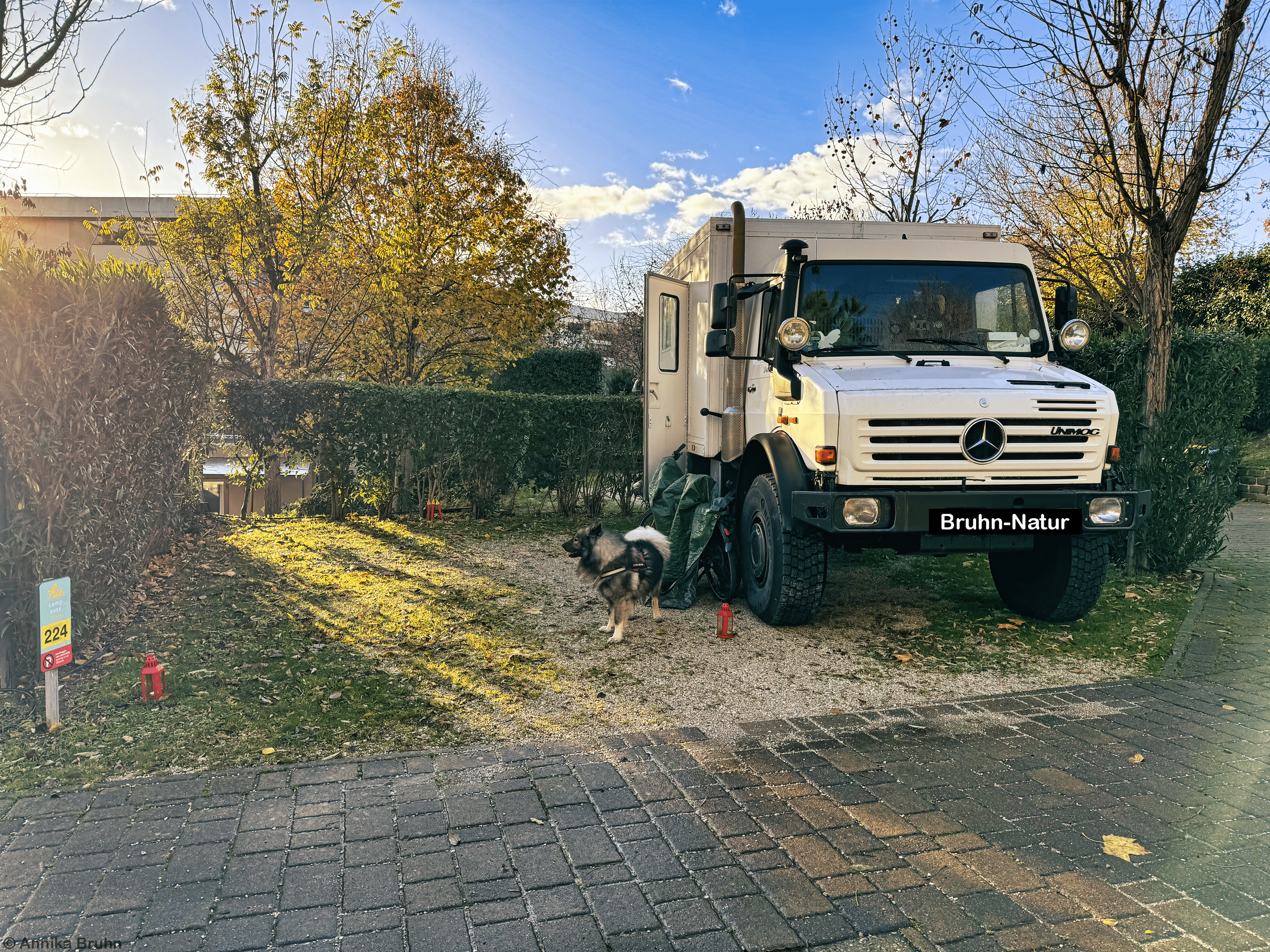 Stellplatz Rom Nr. 224